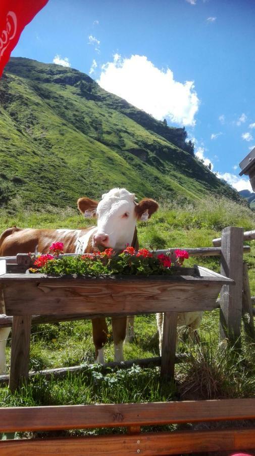 Moisesgut Villa Bad Hofgastein Bagian luar foto