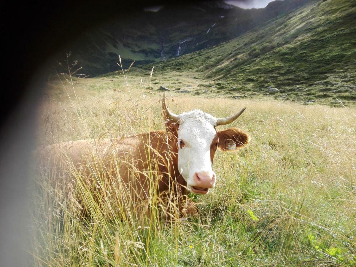 Moisesgut Villa Bad Hofgastein Bagian luar foto